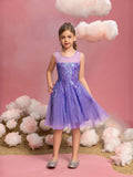 Tween Girls' Sleeveless Contrast Mesh Sequin Dress