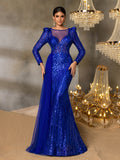 Gorgeous Graphic Sequin Sheer Overlay Mermaid Hem Evening Dress