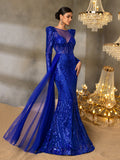Gorgeous Graphic Sequin Sheer Overlay Mermaid Hem Evening Dress