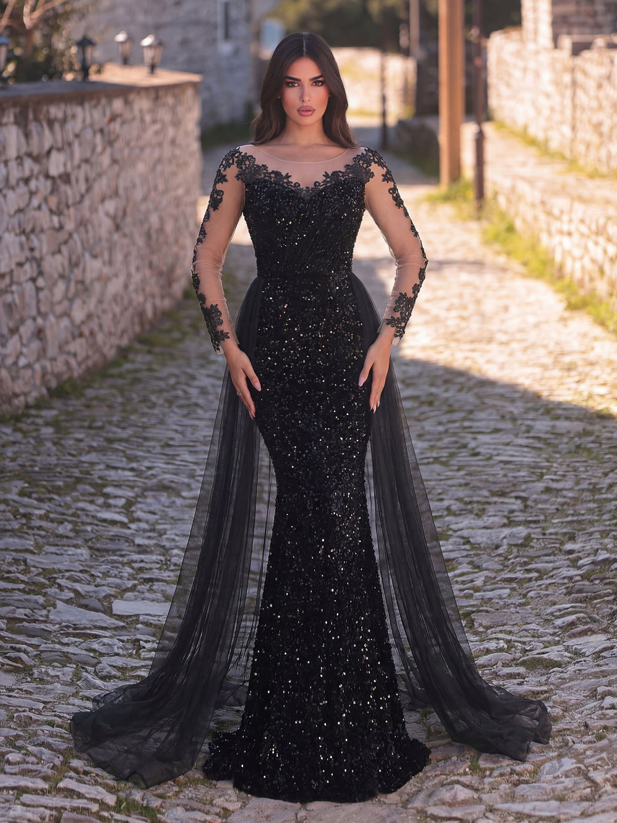 Elegant Sheer Sleeves Mesh Train Sequin Evening Dress