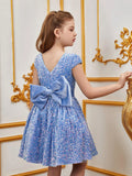 Tween Girls' Bow Back Sequin A Line Dress - Elonnashop