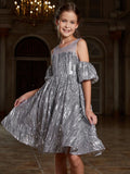 Tween Girls' Puff Sleeve Contrast Mesh Sequin Party Dress - Elonnashop