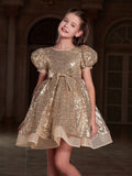 Tween Girls' Cute Bow Front Puff Sleeve Sequin Party Dress