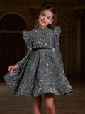 Tween Girls' Mock Neck Gigot Sleeve Sequin A Line Dress - Elonnashop