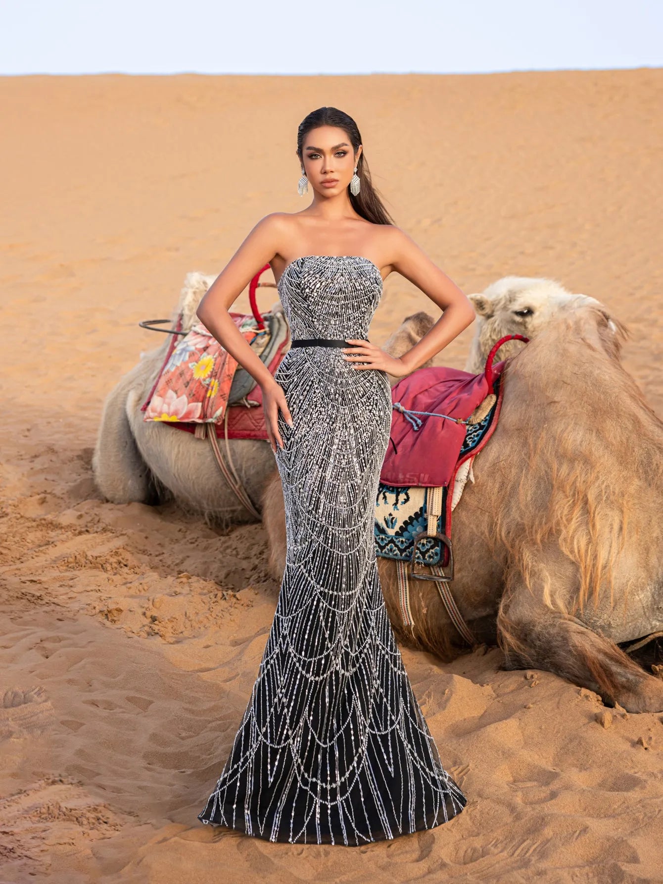 Luxury Gorgeous Mock Neck Mermaid Hem Beaded Sequin Cape Dress