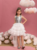 Tween Girls' Mesh Layered Hem Sequin Party Dress