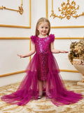 Young Girls' Sleeveless Mesh Layered Hem Sequin Party Dress - Elonnashop