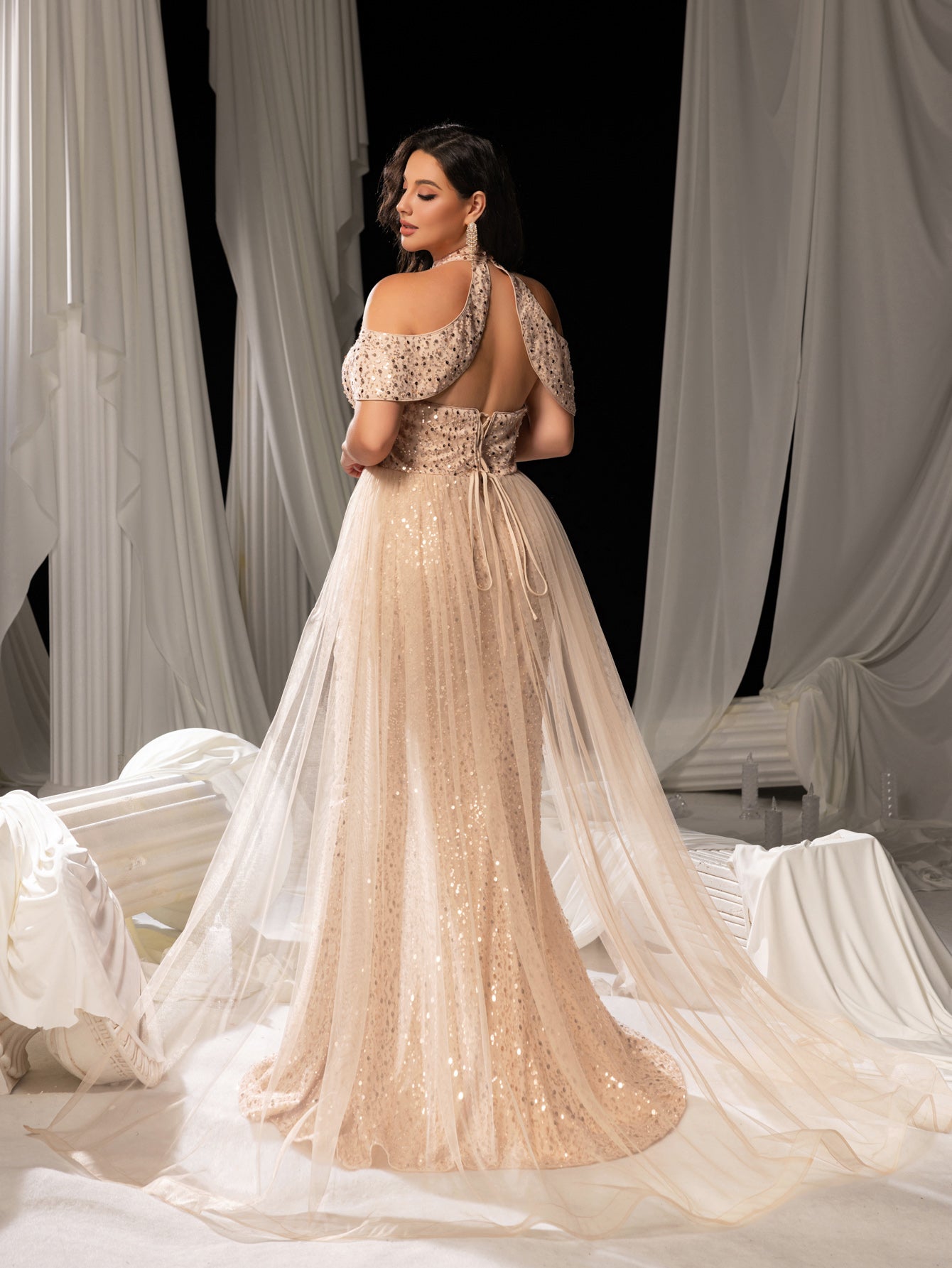 Plus Elegant Mesh Overlay Split Mermaid Hem Sequined Beaded Evening Dress